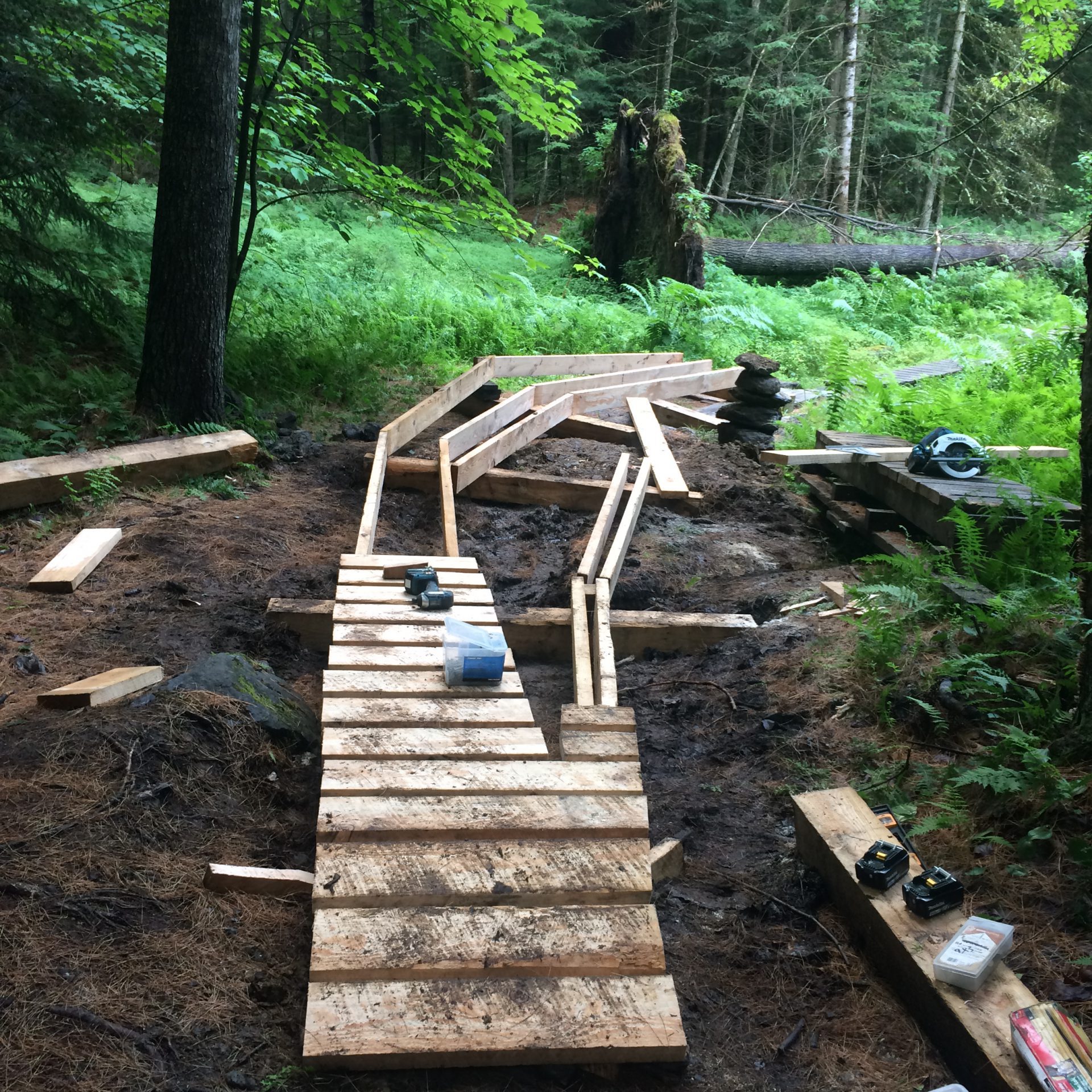 Wooden bridge with skinny option