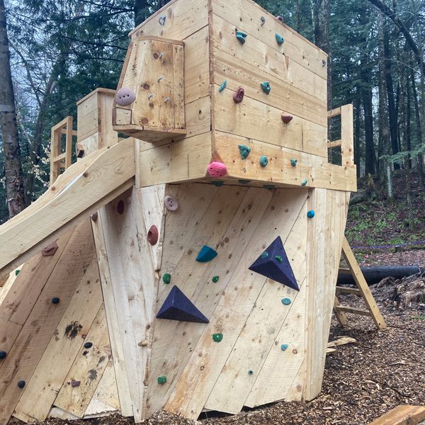 Custom Climbing Wall treehouse